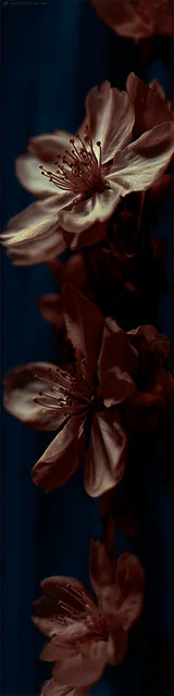 Free aesthetic bookmark featuring darker floral art